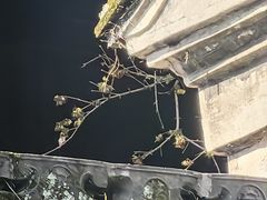 -宁波市保国寺古建筑博物馆