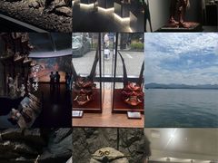 -中国美术学院-美术馆