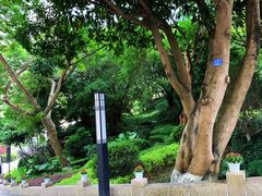 景观位-海上明珠.亲子自助餐厅.厦门宾馆