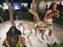 -自贡恐龙博物馆