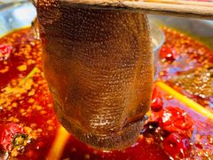 -孙毛肚火锅(春熙路店)