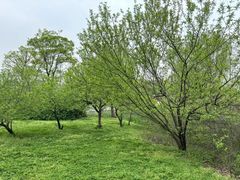 -南山风景名胜区