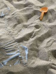 -恐龙探索乐园(磁器口店)