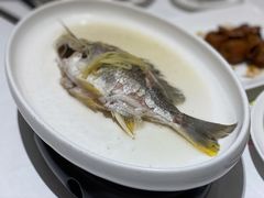 姜葱蒸黄脚立-花城苑广府菜(侨鑫店)