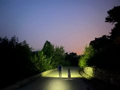 -北京西山国家森林公园