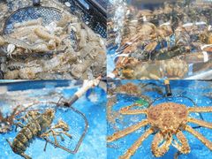 -盒马鲜生(杭州运河上街店)