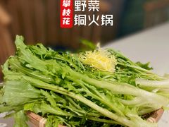 -攀枝花野菜铜火锅(万科凯德店)