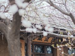 -爱新觉罗皇家博物院