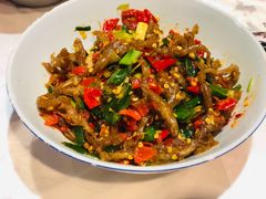 鸭掌筋-壹盏灯(惠农店)