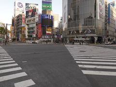 -涩谷全向十字路口