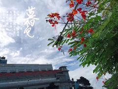 -鱼尾狮公园