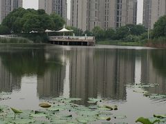 -新江湾城公园