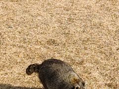 -秦皇岛野生动物园