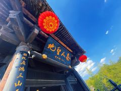 -大唐贡茶院