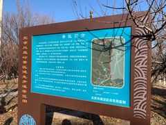 -北京凤凰岭