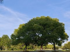 -长广溪湿地公园