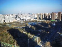 -君悦酒店·乐厨·高空自助餐(青年大街店)