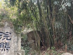 -杭州野生动物世界