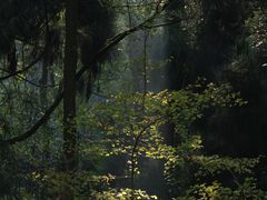 -青城山