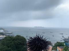 -半升洞码头