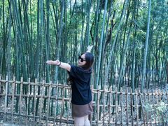 -乌镇东栅景区
