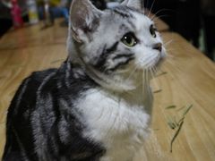 -藦茜花园宠物主题亲子互动体验馆(国顺东路店)
