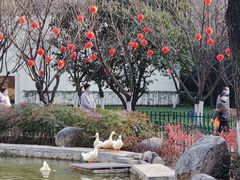 -西安市长乐公园