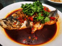 -渡口饭店(兴港路店)