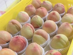 -老袁家蜜桃农场·阳山水蜜桃