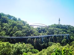 -金鸡山公园