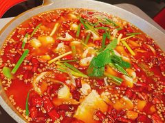 三江活水鮰鱼-三江里·宜宾川菜(亚运村店)