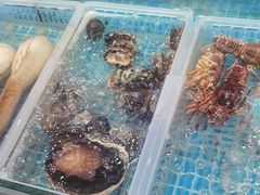 -启东小海鲜(庄先湾路1号店)