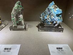 -陕西自然博物馆