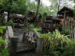 -青城甲(青城山店)