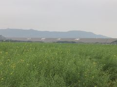 -光明小镇欢乐田园