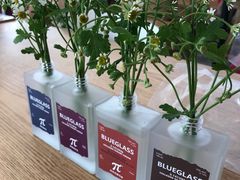 -Blueglass酸奶(财富购物中心店)