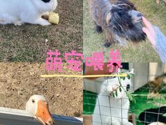 -栖露营camping·天幕烧烤·团建拓展·采摘营地