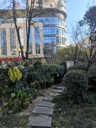 -河南中医药大学第一附属医院-医疗整形