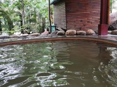 -佛山市三水温泉度假村