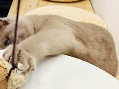 -颐玖 咖啡|甜品
