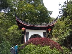 -十八棵（老龙井）御茶园(老龙井店)