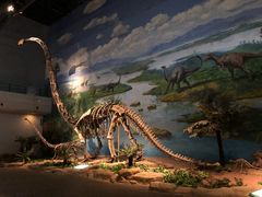 -自贡恐龙博物馆