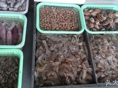 皮皮虾-南沙十九涌渔人码头-南门