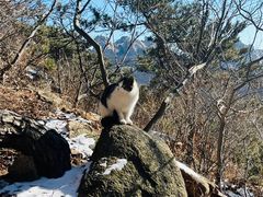 -崂山巨峰游览区