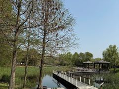 -同里国家湿地公园