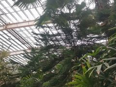 -龙达温泉生态城