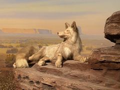 -陕西自然博物馆