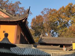 -灵谷景区