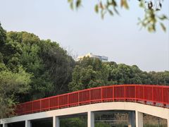 -美兰湖景区