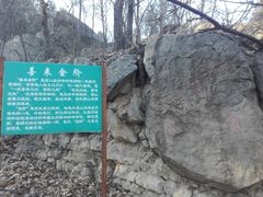 -阳台山自然风景区